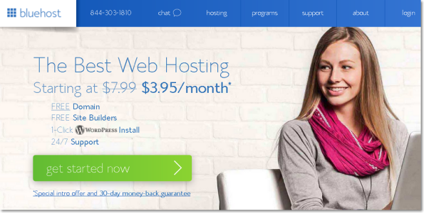 Bluehost hosting